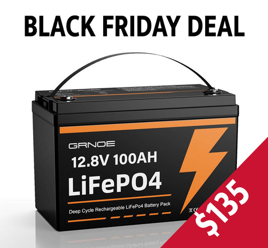 12V 100Ah LiFePO4 Battery Group 31 Lithium Battery With Built-in 100A BMS, 1.28kWh