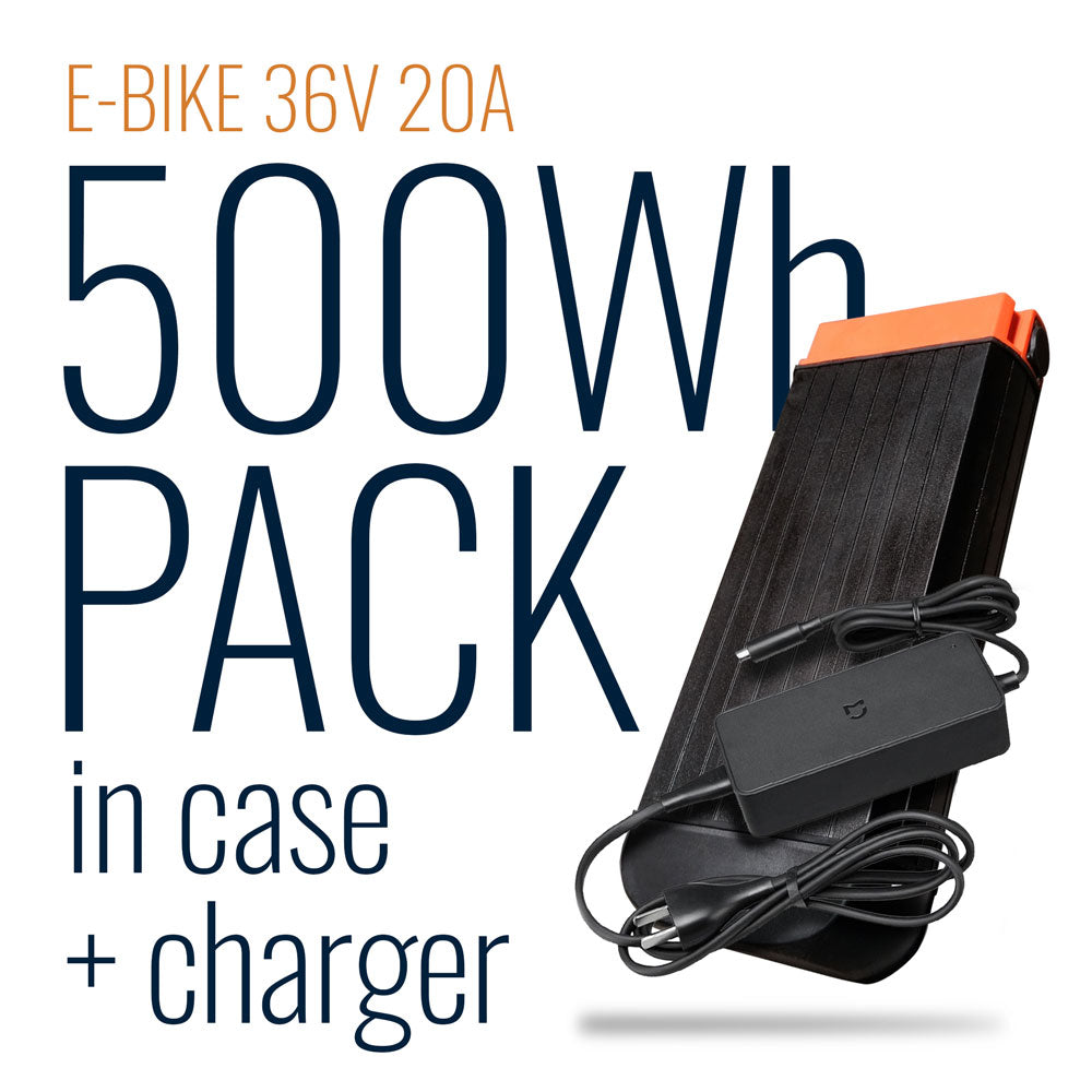 500wh ebike online